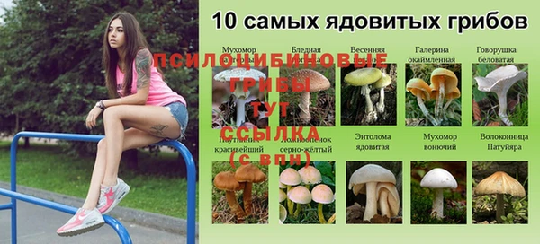 mdpv Аркадак
