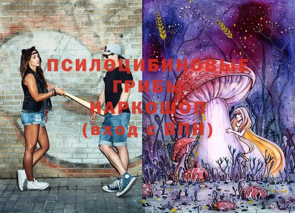 амф Арсеньев