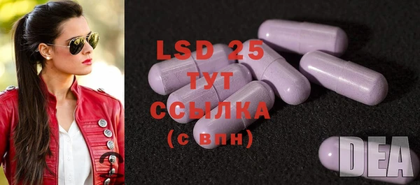 PSILOCYBIN Баксан