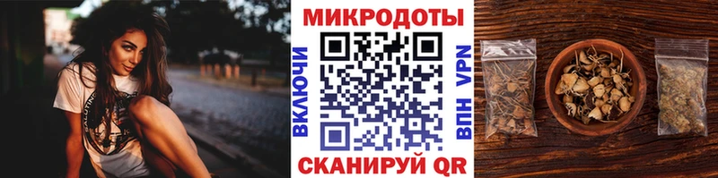 OMG   Нюрба  Псилоцибиновые грибы MAGIC MUSHROOMS 