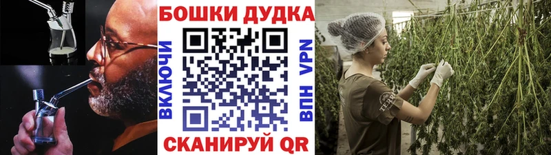 Шишки марихуана гибрид  Нюрба 